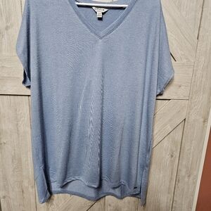 Orvis Light Blue V-Neck Sweater